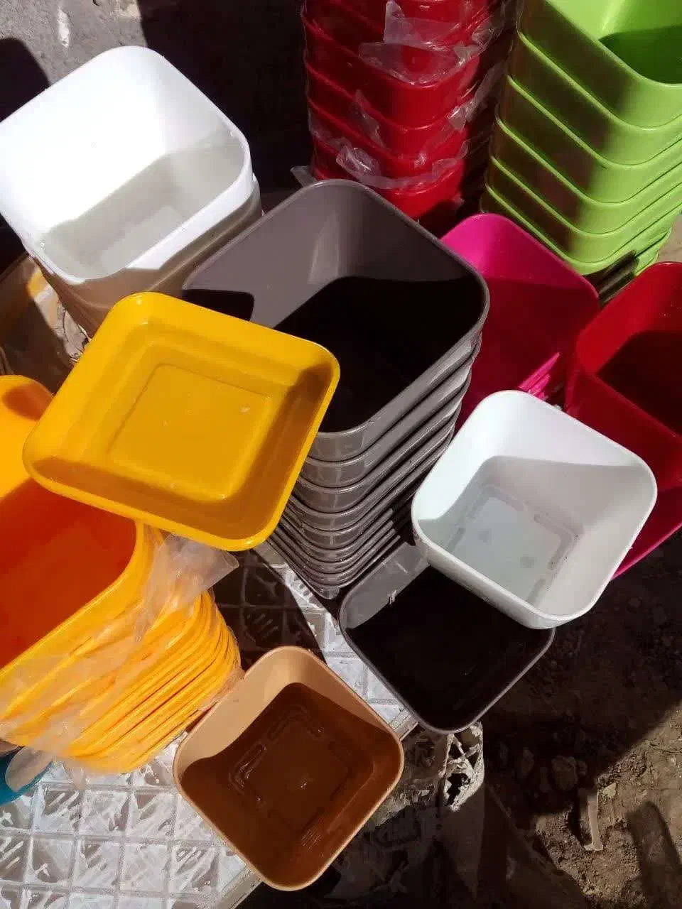 گلدان پلاستیکی|گل و گیاه طبیعی|گناباد, |دیوار