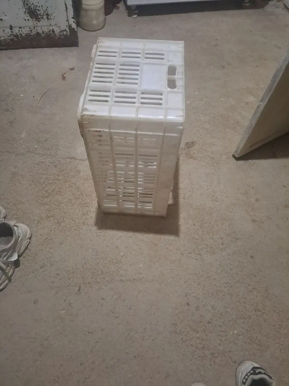 سبد گوجه فرنگی مواد اول|عمدهفروشی|قیدار, |دیوار