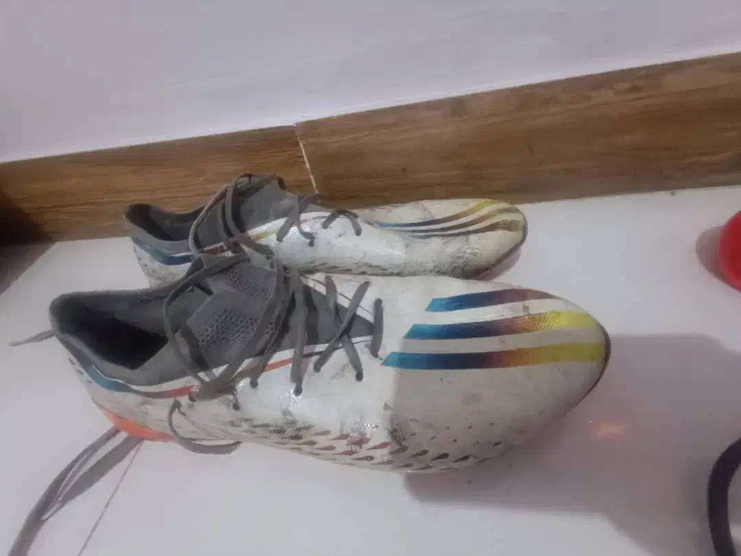 استوک فوتبال|کیف، کفش، کمربند|پرند, فاز ۴|دیوار