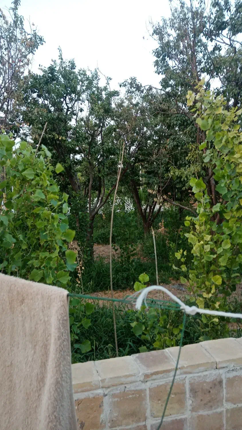 ماشین دربستی داخل شهرکسی خواست بیرون شهر مشهد|خدمات حمل و نقل|سبزوار, قلعه‌نو دهزار|دیوار