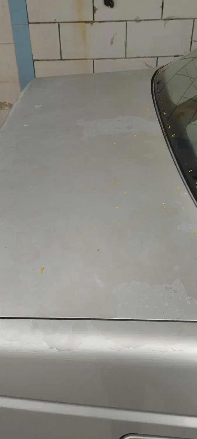 ماشین پژو 405 مدل 86 دوگانه شرکتی|خودرو سواری و وانت|بوشهر, |دیوار