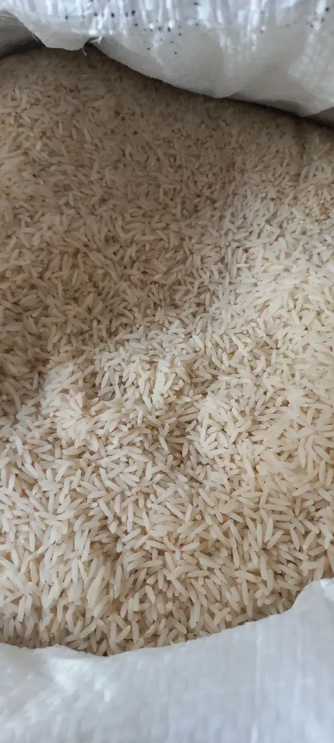 برنج دم سیاه|خوردنی و آشامیدنی|مشهد, کوی دروی|دیوار