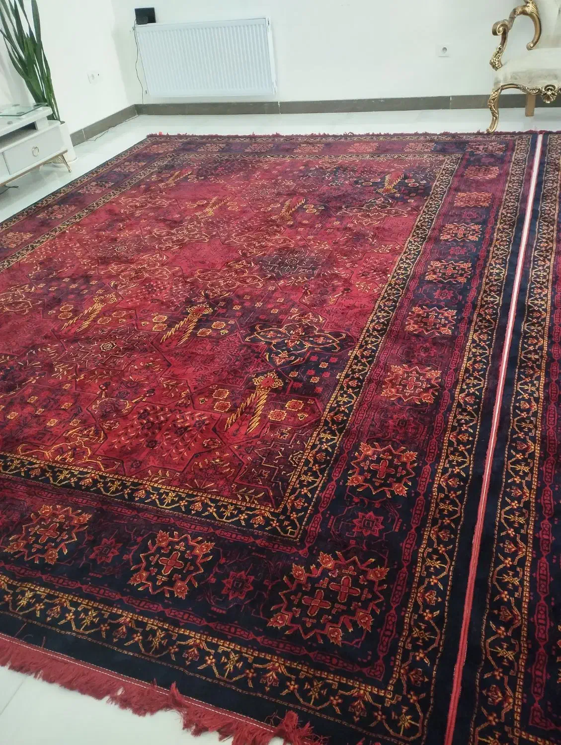 فرش قرمز سلطنتی نو نو نو|فرش|ایلام, |دیوار