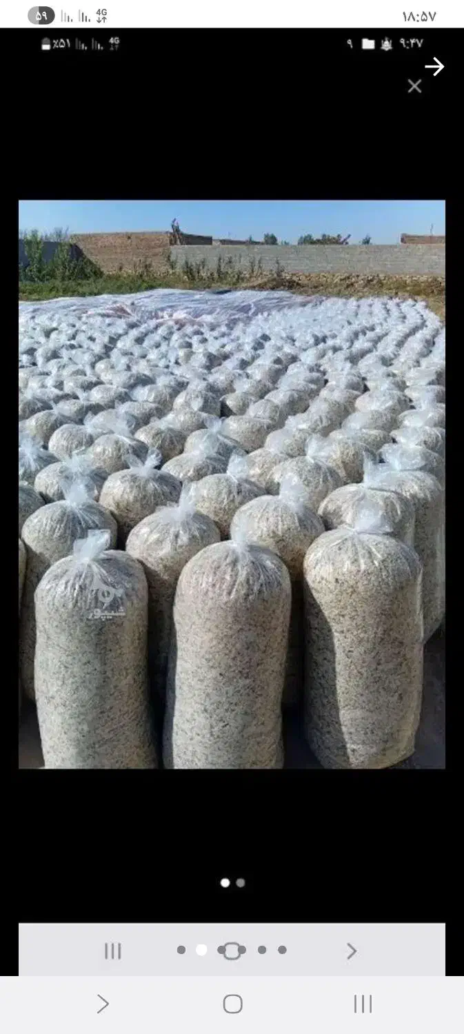 تفاله چغندر پرس شده|حیوانات مزرعه|سرعین, |دیوار