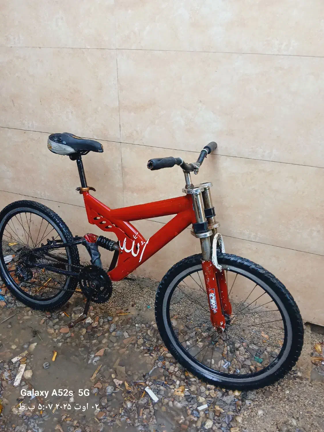 دوچرخه ۲۶ و ۲۴|دوچرخه، اسکیت، اسکوتر|گنبد کاووس, |دیوار