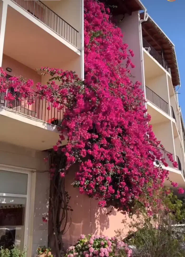 گل طبیعی|گل و گیاه طبیعی|ملایر, |دیوار