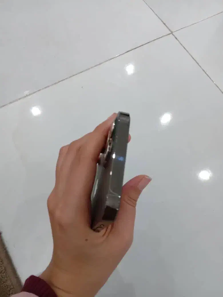 Iphon 12 pro|موبایل|فردیس, منظریه|دیوار