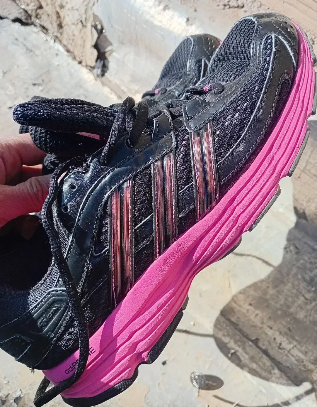 آدیداس فارماتون|کیف، کفش، کمربند|قم, ولیعصر|دیوار