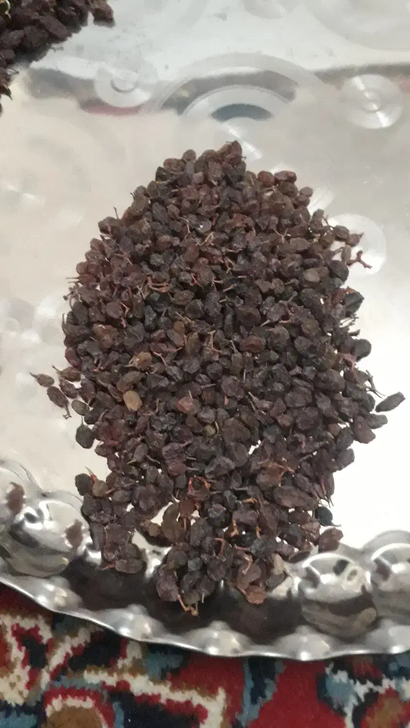 مویز کشمش|خوردنی و آشامیدنی|سردرود, |دیوار