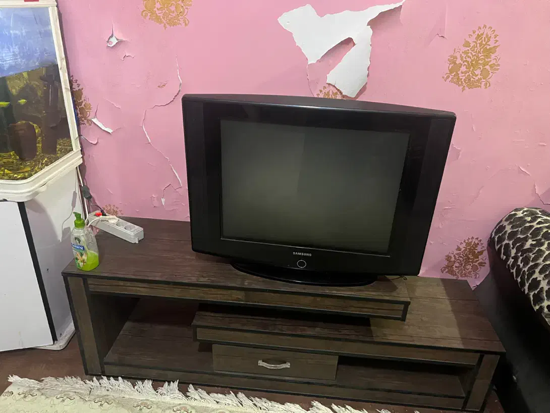 تلویزیون|تلویزیون و پروژکتور|بندرعباس, |دیوار