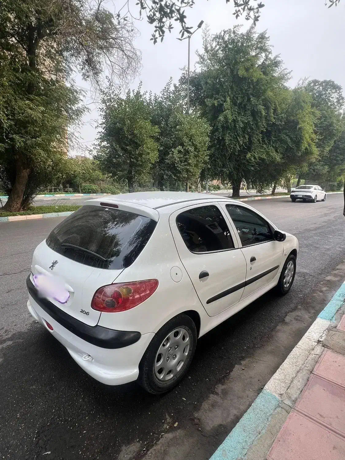 206 مدل 96|خودرو سواری و وانت|دزفول, |دیوار