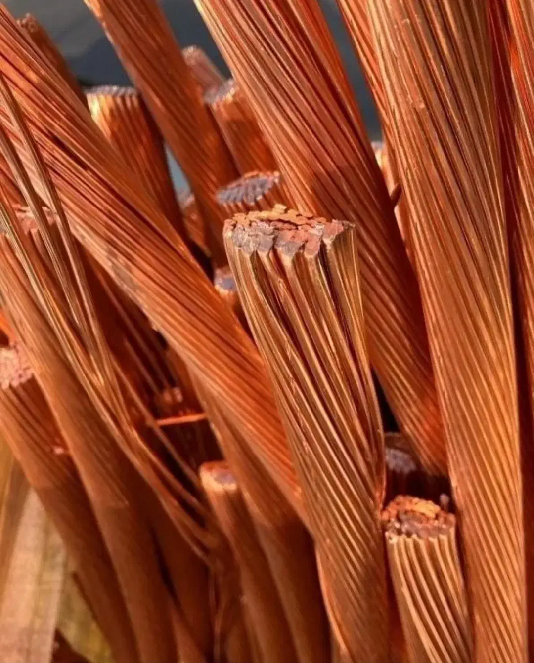 فروش خریدار ضایعات اهن مس الومنیوم کابینت کتاب درب|عمدهفروشی|رشت, چمارسرا|دیوار