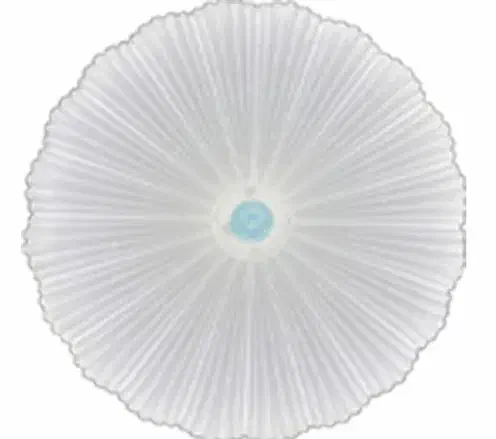 چراغ سقفی سه حالته|لوستر و چراغ آویز|مشهد, چهارباغ|دیوار