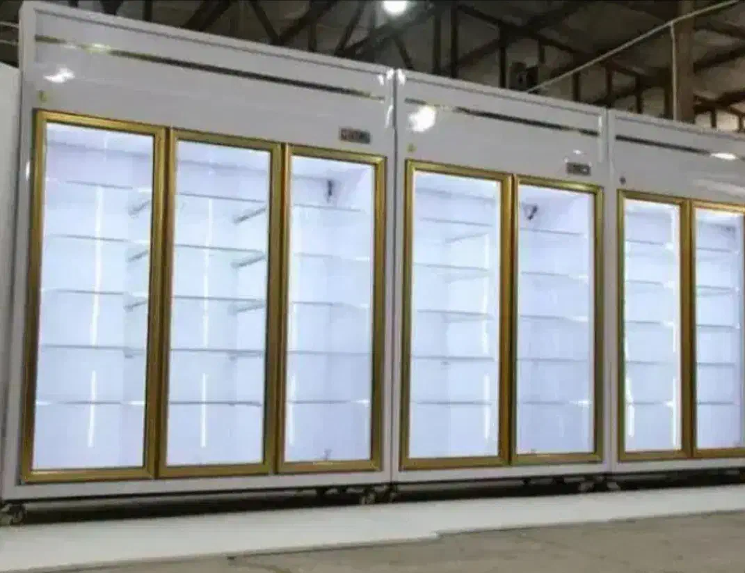 ویترینی ایستاده لبنیاتی قصابی کبابی قنادی پروتئینی|فروشگاه و مغازه|تهران, صادقیه|دیوار