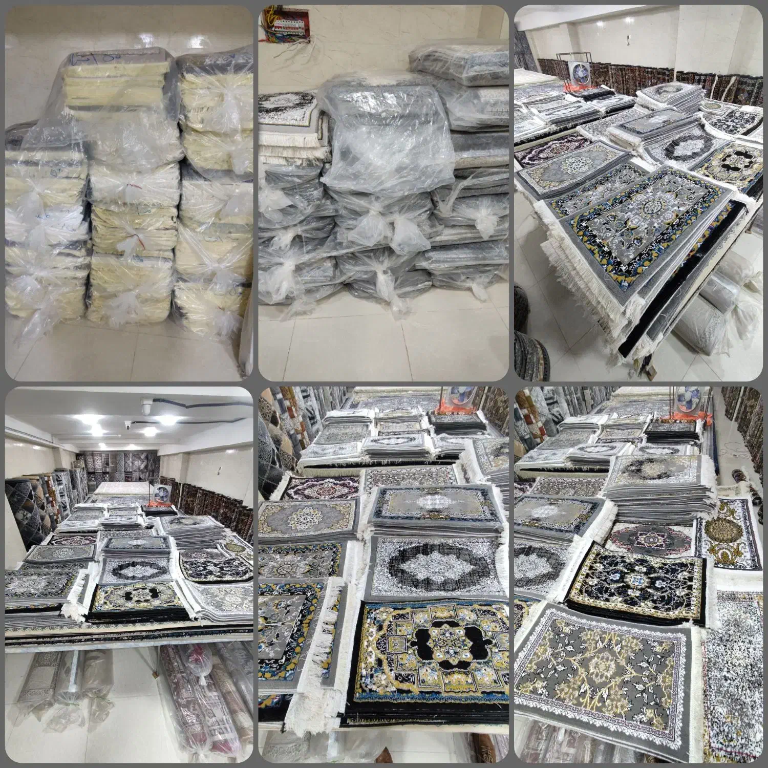 پادری فرش|پادری|بندرعباس, |دیوار