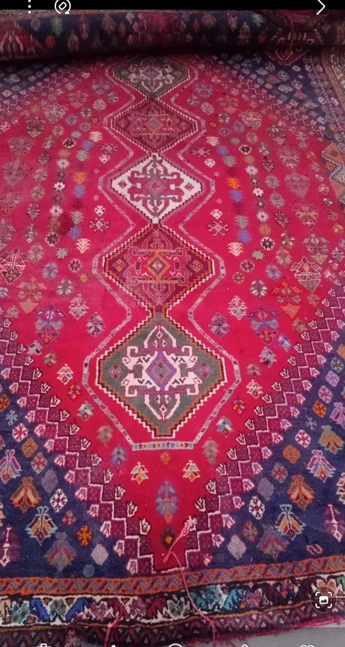 قالی پشمی ارزلن|فرش|شیراز, کوشک میدان|دیوار