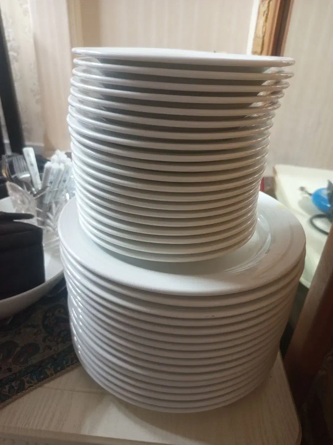 بشقاب چینی رستورانی|ظروف سرو و پذیرایی|رشت, لاکانی|دیوار