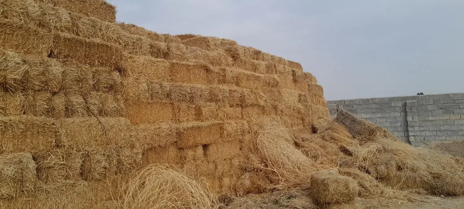 پرس گندم|لوازم جانبی حیوانات|شیروان (خراسان), |دیوار