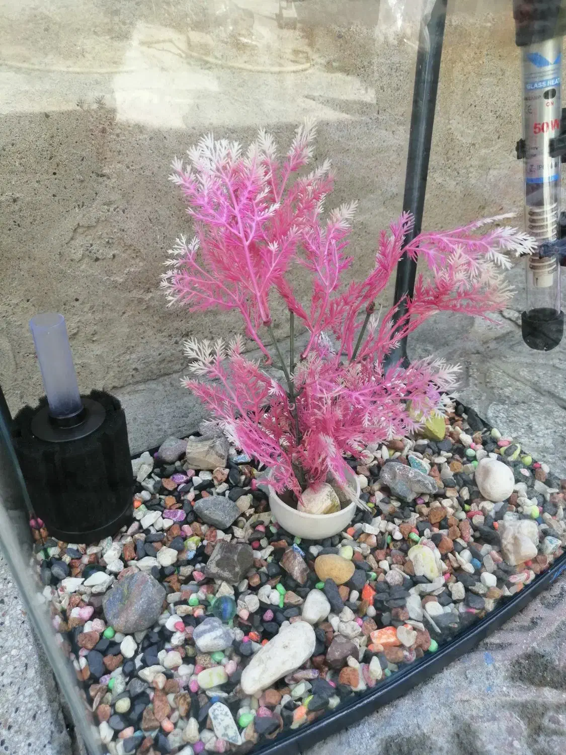 آکواریوم شرکتیJEBO|ماهی|تبریز, |دیوار