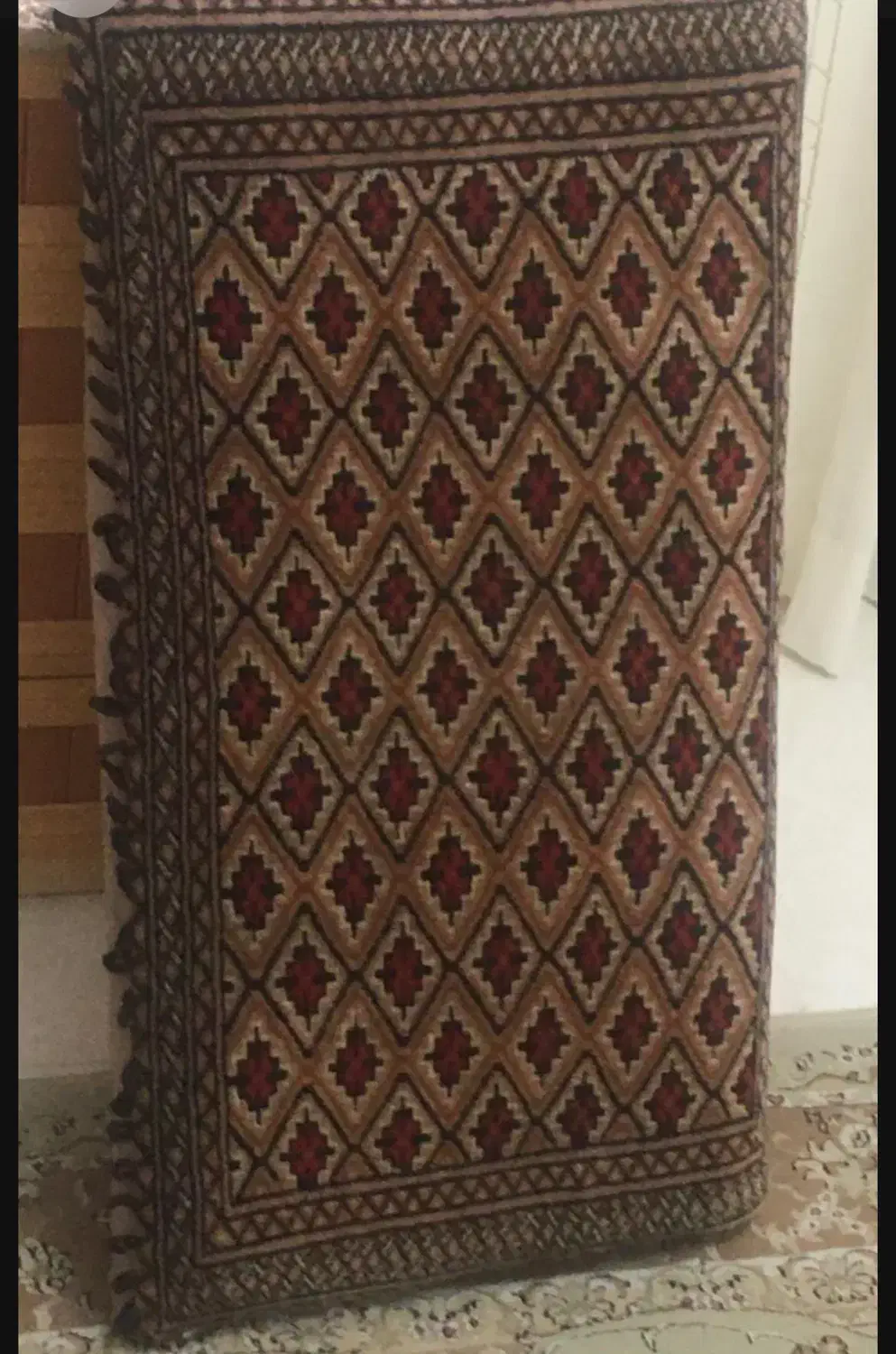 دوجفت پشتی دست بافت ترکمن|پشتی|شیراز, کوی وحدت|دیوار