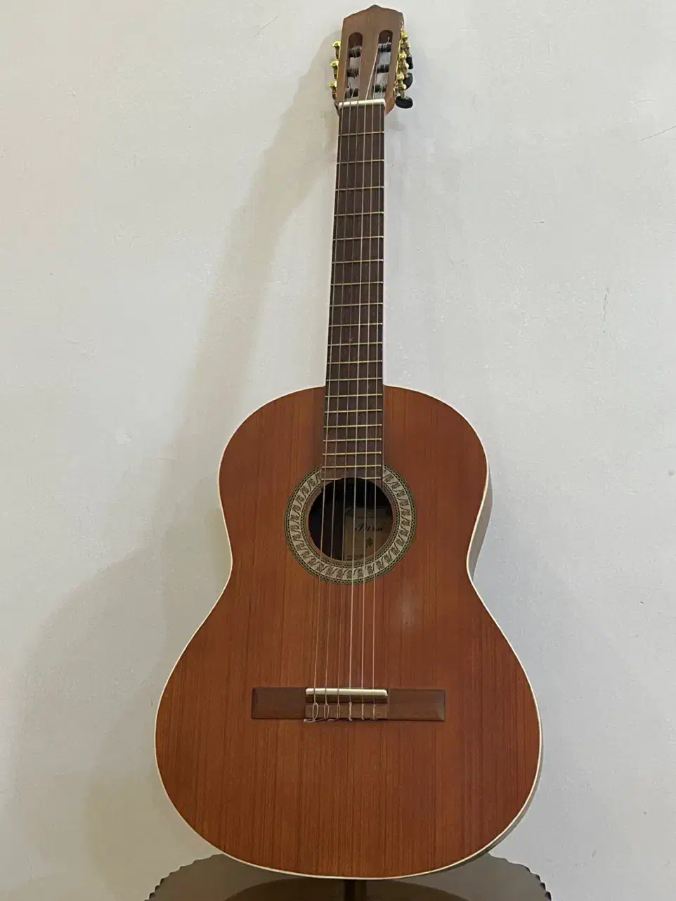 گیتار پارسی m6|گیتار، بیس، امپلیفایر|مشهد, تربیت (صدف)|دیوار