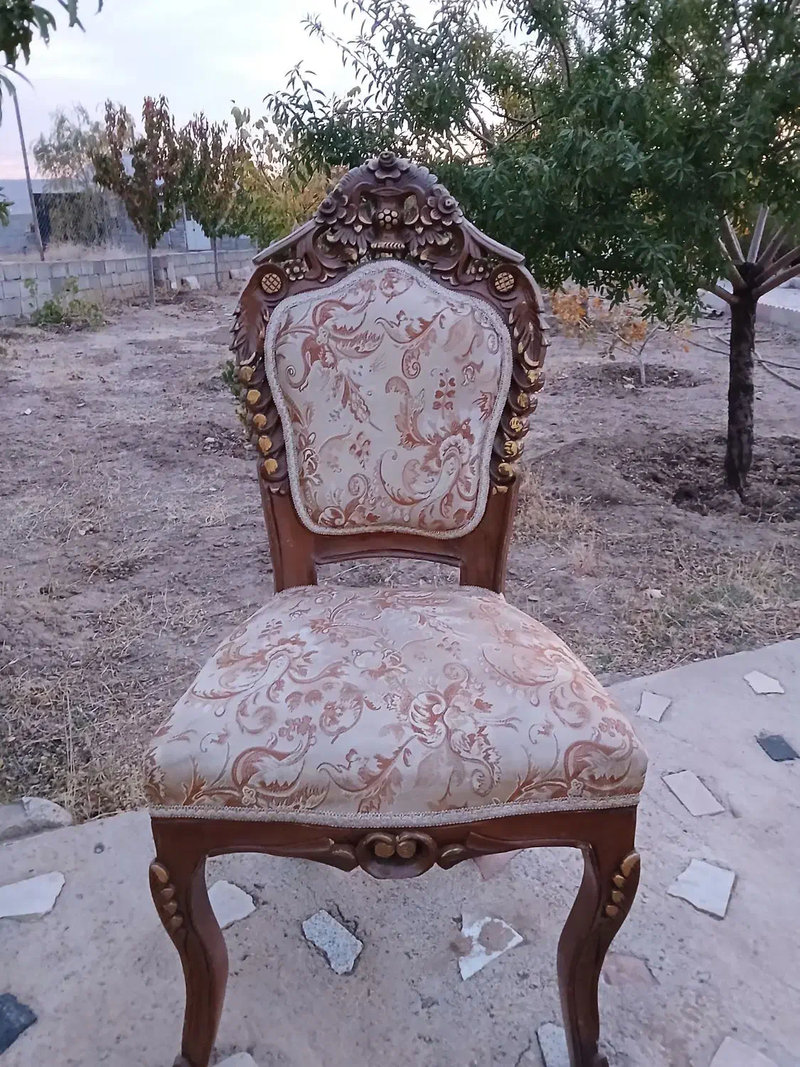 مبل صدامی|مبلمان خانگی و میز عسلی|تبریز, |دیوار