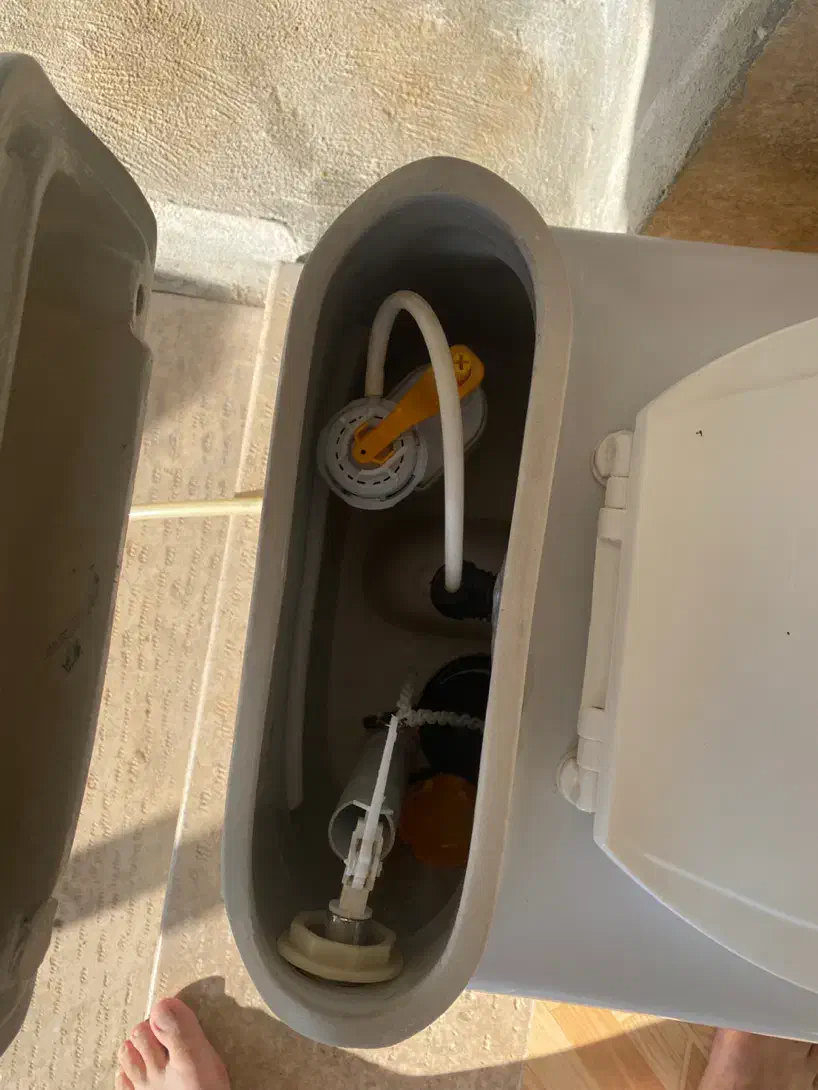 توالت فرنگی|لوازم سرویس بهداشتی|شاهین دژ, |دیوار