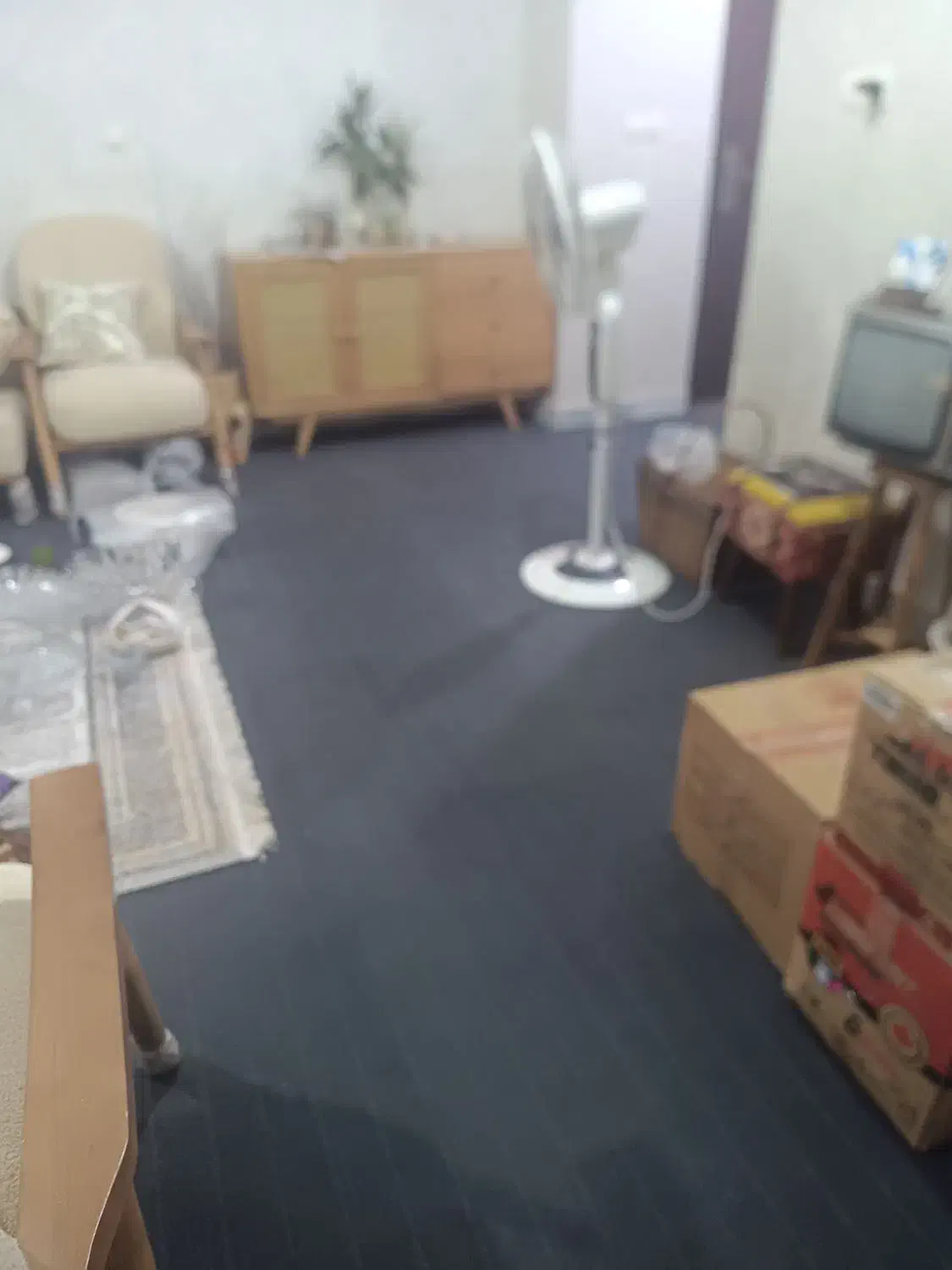 موکت کاملا نو|موکت|برازجان, |دیوار