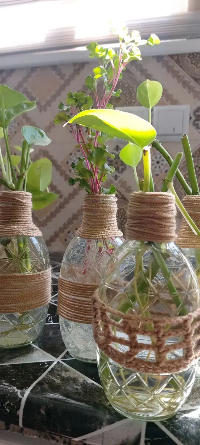 بطری.گل.گلدان|گل و گیاه طبیعی|خمینی‌شهر, |دیوار