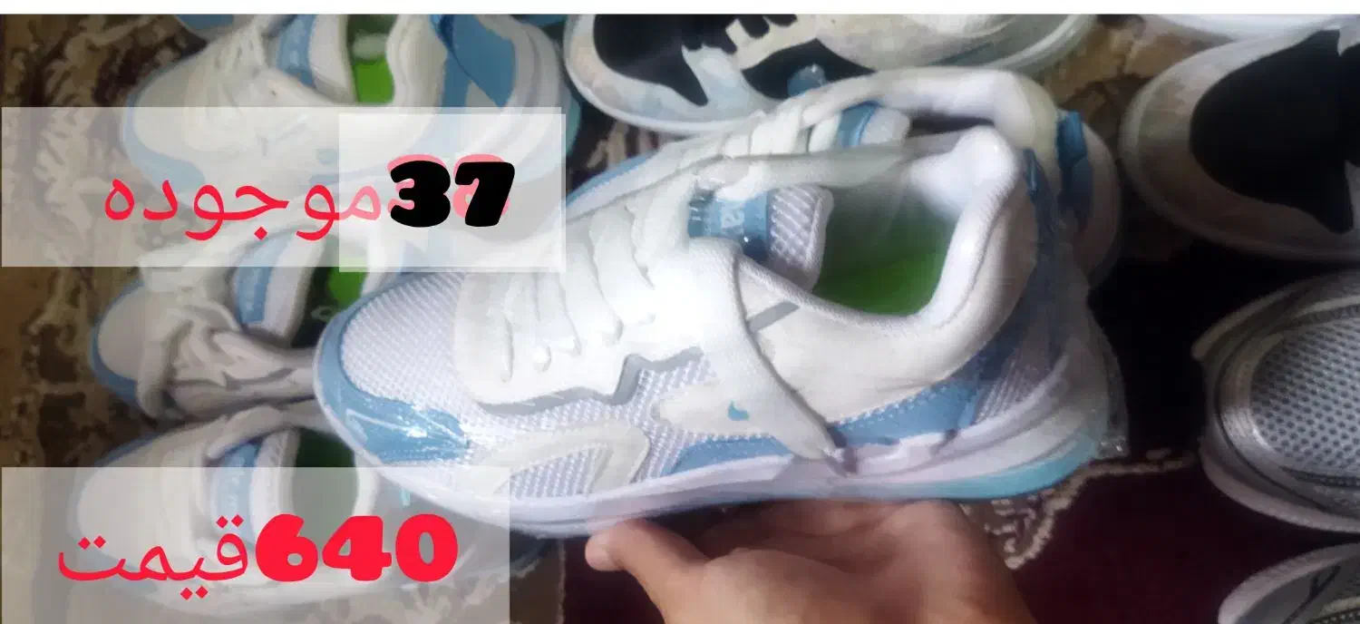 کتونی.کتانی.کفش. به قیمت عمده|کیف، کفش، کمربند|سلمان‌شهر, |دیوار