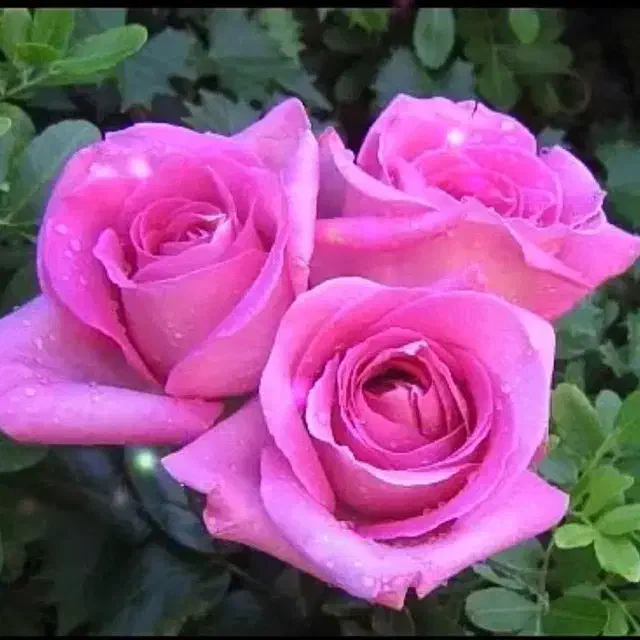 تدریس خصوصی ریاضی|خدمات آموزشی|قائن, |دیوار