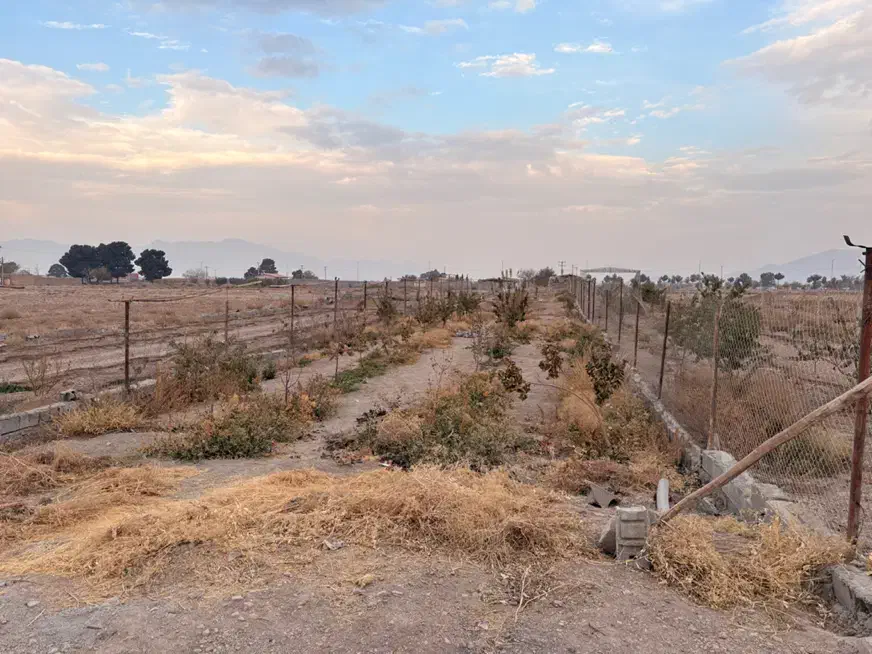 باغ روستای اراضی،باغملک|فروش خانه و ویلا|مبارکه, |دیوار