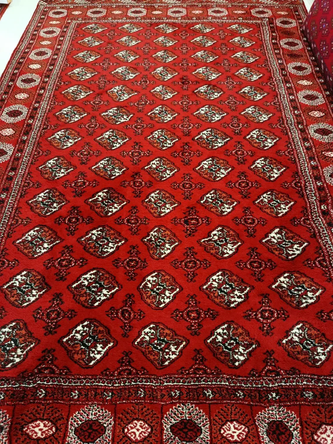 فرش|فرش|گنبد کاووس, |دیوار