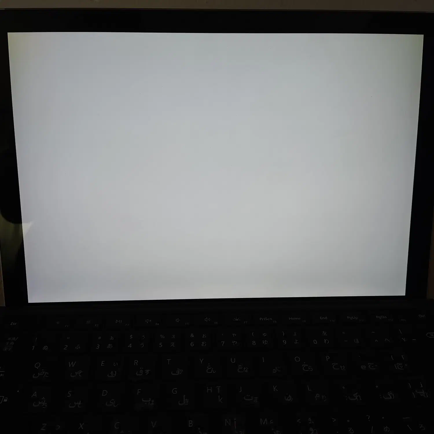 سرفیس ۵ ،۲۰۲۴|رایانه همراه|بابل, |دیوار