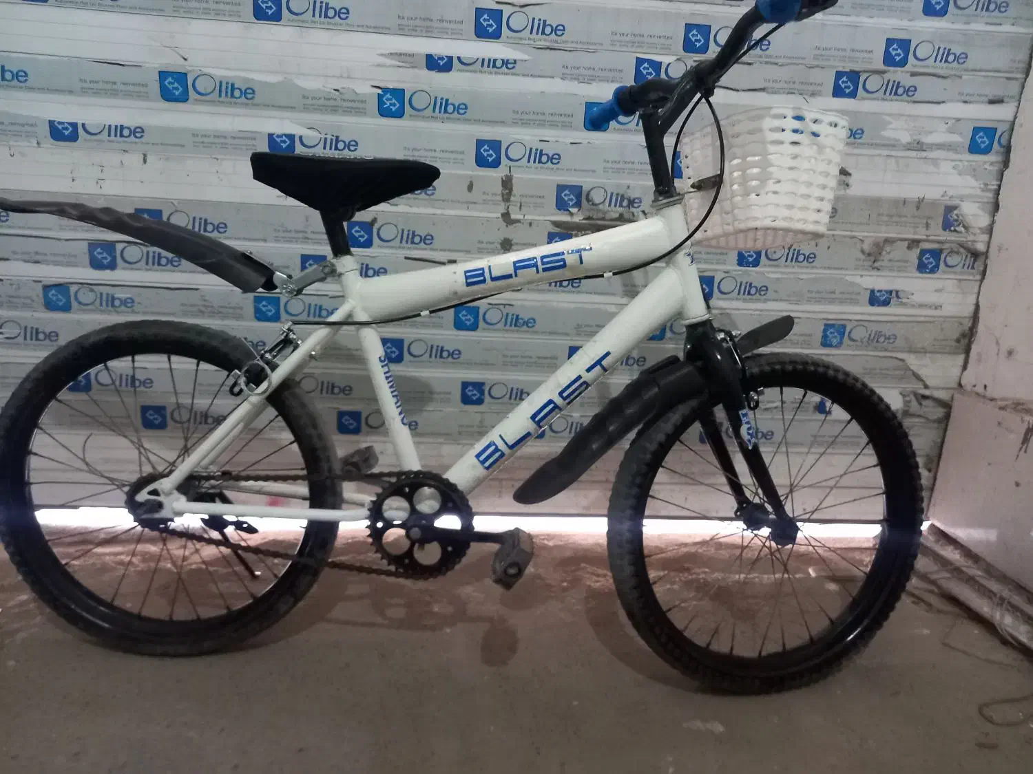 دوچرخه|دوچرخه، اسکیت، اسکوتر|تربت جام, شهرک معلم|دیوار