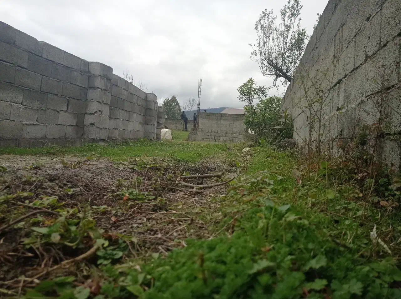 ۳۰۰ متر زمین مسکونی زیر قیمت|فروش زمین و ملک کلنگی|رضوانشهر, |دیوار