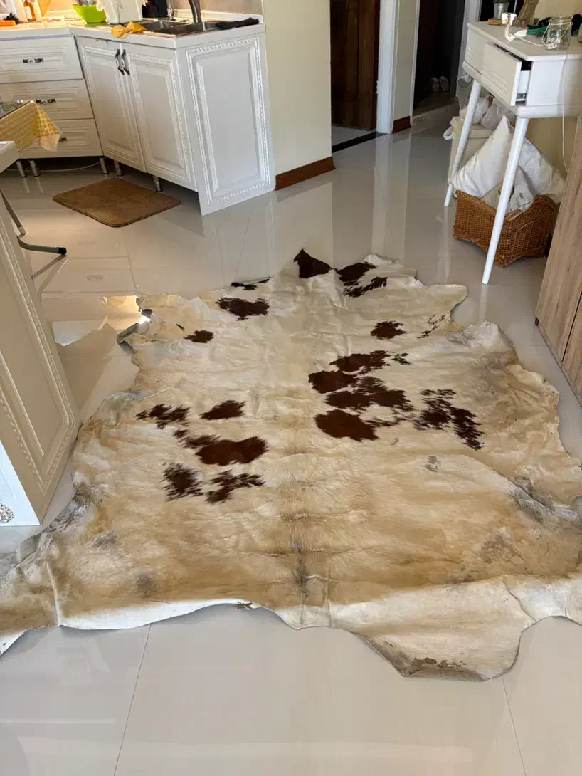 فرش دست دوز چرم وپوست|فرش|شیراز, قدوسی غربی|دیوار