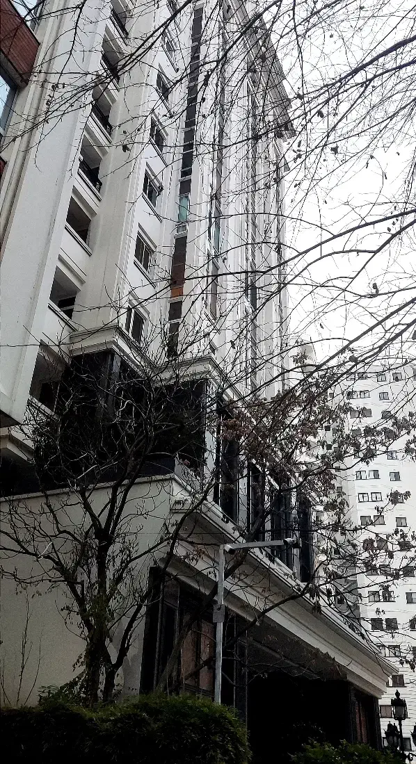 214متر آپارتمان رویایی در فرمانیه شرقی ویو باغ|فروش آپارتمان|تهران, فرمانیه|دیوار