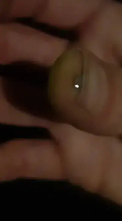 الماس|جواهرات|گنبد کاووس, |دیوار