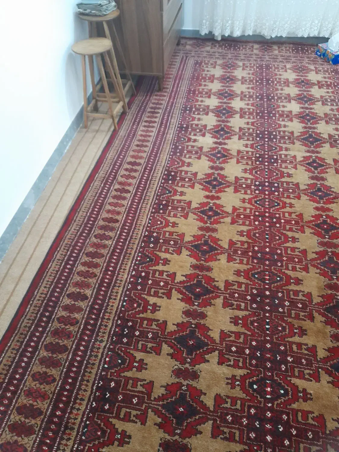 ترکمن فرش ۲ عدد|فرش|بندر ترکمن, |دیوار