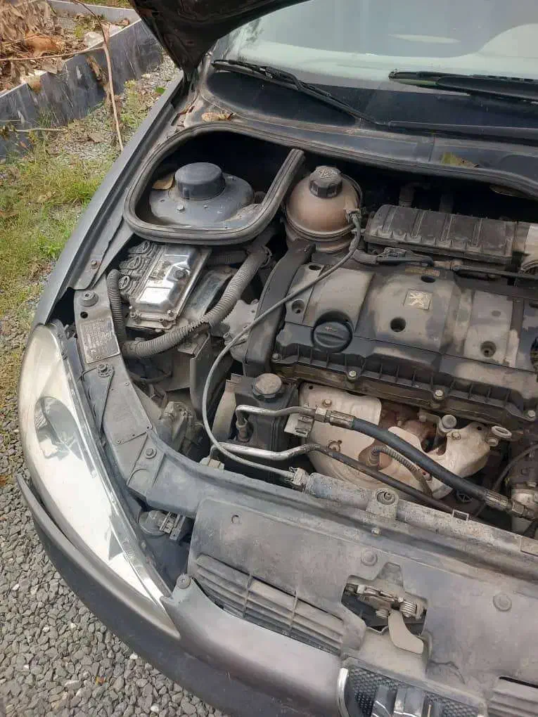 لوازم ۲۰۶تیپ ۵|قطعات یدکی و لوازم جانبی|محمودآباد, |دیوار