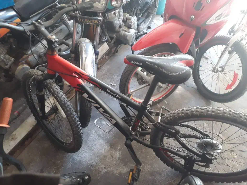 دوچرخه ۲۴ و ۲۰ نو|دوچرخه، اسکیت، اسکوتر|سبزوار, طبرسی (جعفرآباد)|دیوار