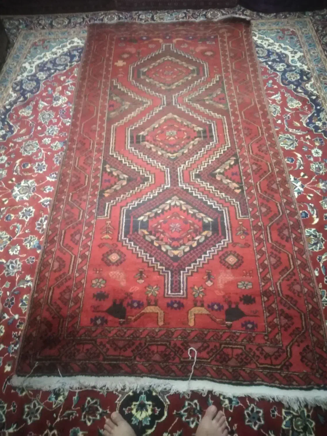 فرش دستباف سالم|فرش|بیرجند, |دیوار