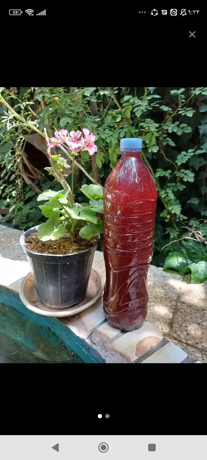 هشتاد لیتر سرکه انگور دو ساله|خوردنی و آشامیدنی|کاشان, کوشک صفی|دیوار