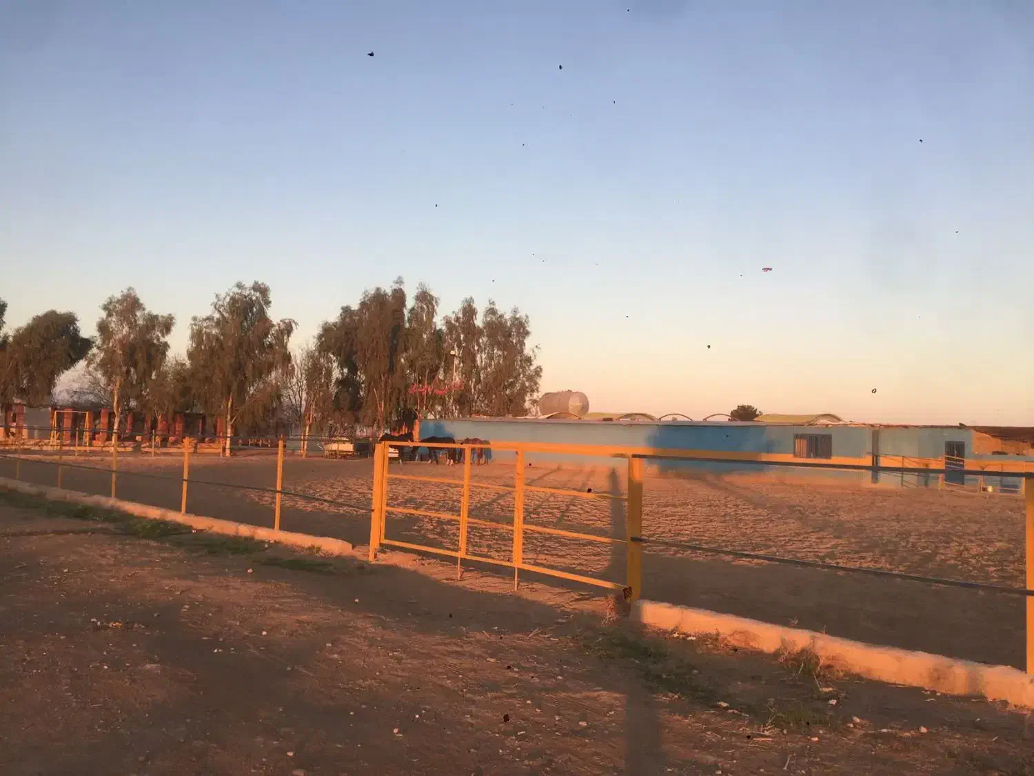 اصطبل اسب|اسب و تجهیزات اسب‌سواری|قم, قلعه عموحسین|دیوار