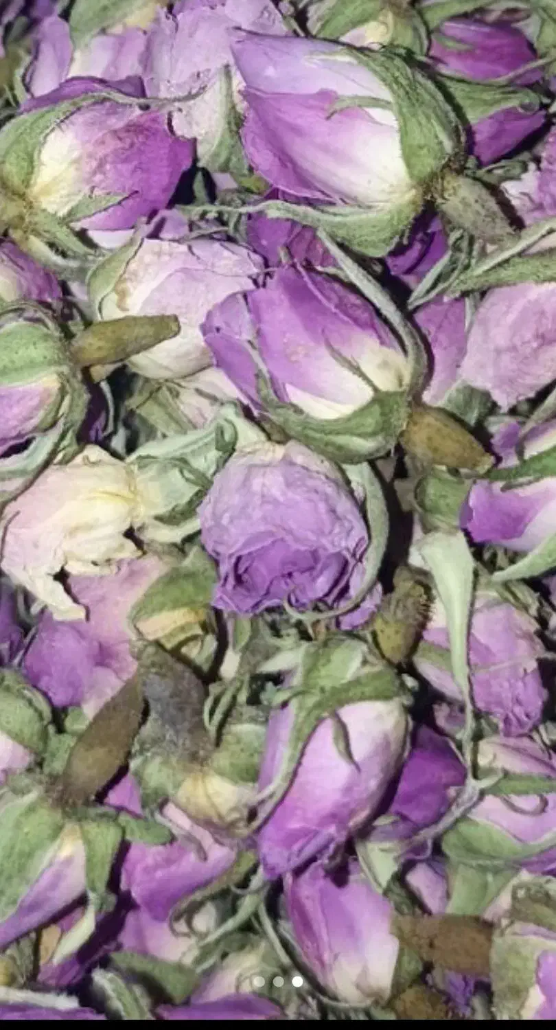 غنچه|خوردنی و آشامیدنی|قم, پشت انبار نفت|دیوار