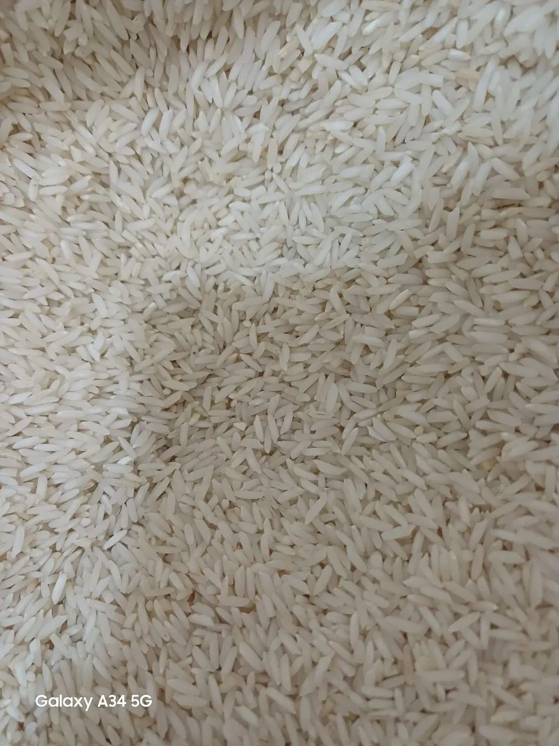 برنج هاشمی صدری(زرد دم) گیلان|خوردنی و آشامیدنی|تهران, بهداشت|دیوار