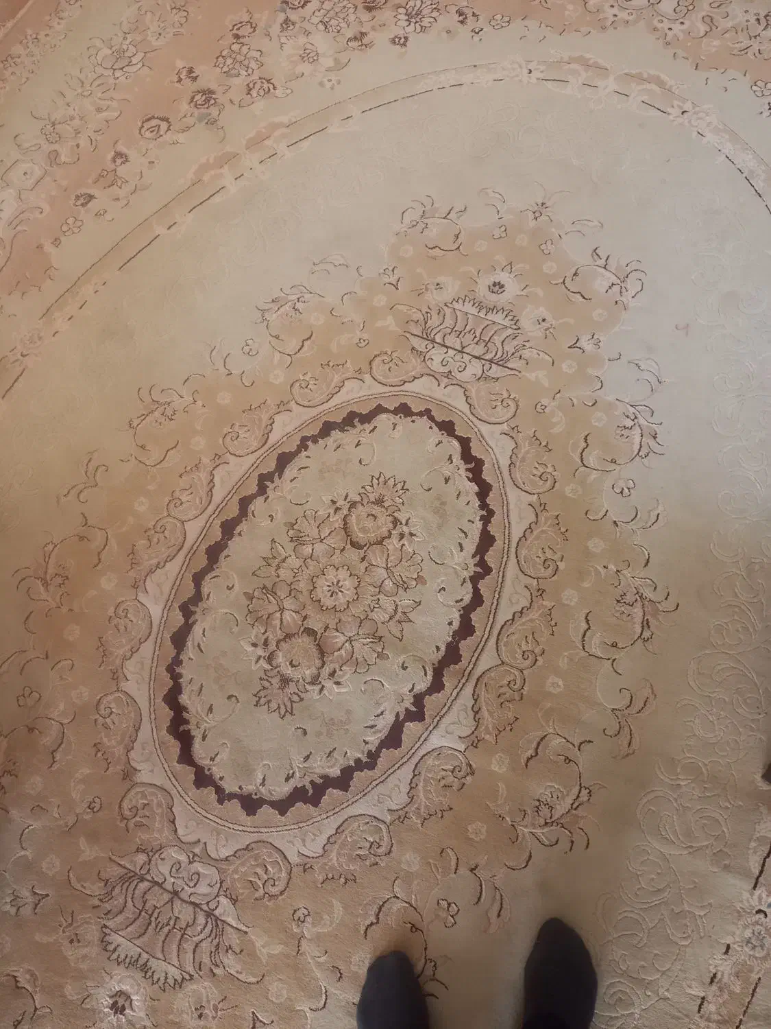 با سلام  فرش دست دوم|فرش|طسوج, |دیوار