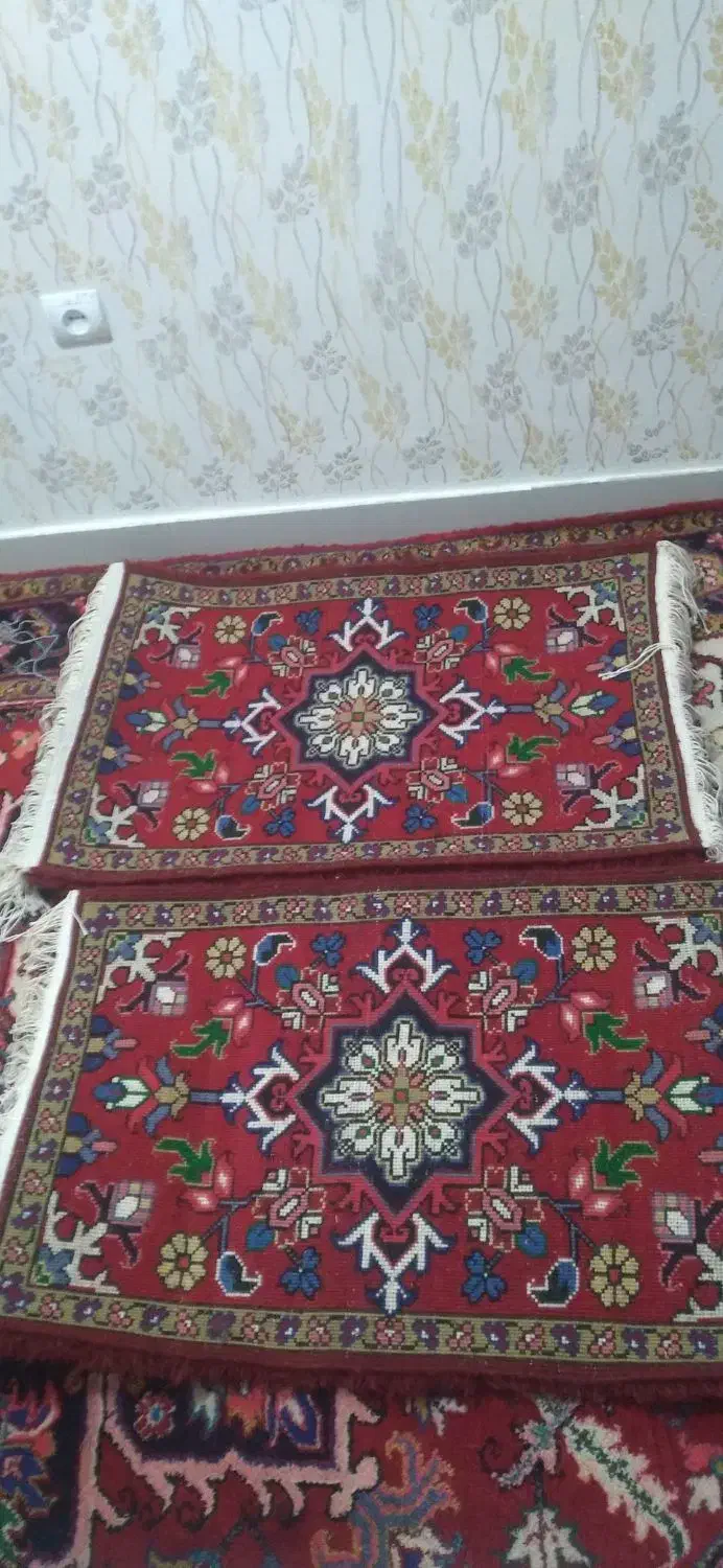 پادری|پادری|تبریز, |دیوار