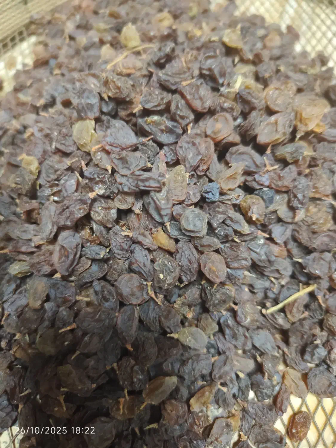 کشمش آفتابی|خوردنی و آشامیدنی|شهرکرد, |دیوار